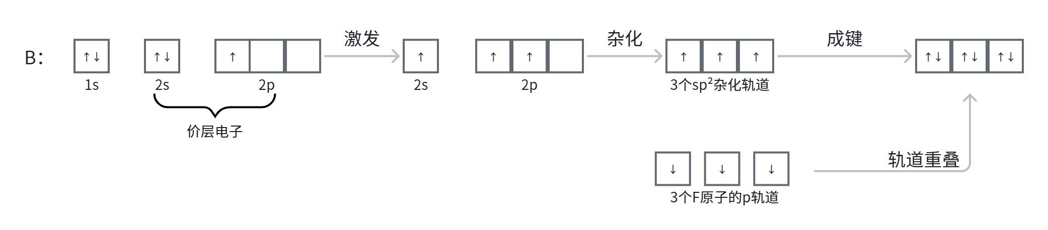 三氟化硼的杂化.png