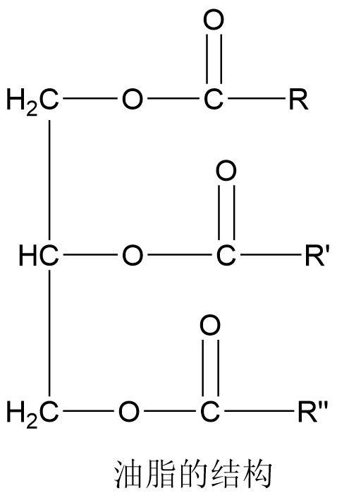 油脂的结构.png