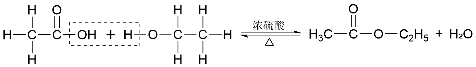 酯化反应原理.png