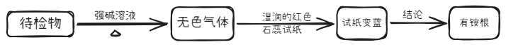 铵根的检验.png